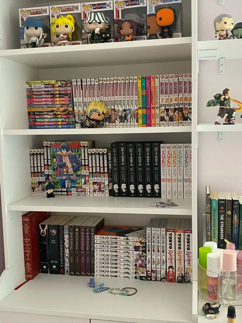 Shelf Life: The American Collectors Who Refuse to Let Physical Hentai Die